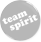 team-spirit